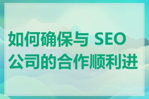 如何确保与 SEO 公司的合作顺利进行