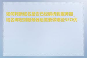 如何判断域名是否已经解析到服务器_域名绑定到服务器后需要做哪些SEO优化