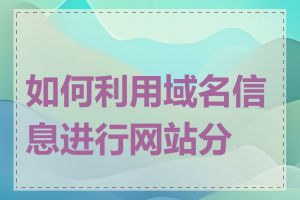 如何利用域名信息进行网站分析