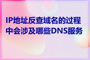 IP地址反查域名的过程中会涉及哪些DNS服务器