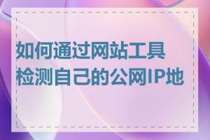如何通过网站工具检测自己的公网IP地址