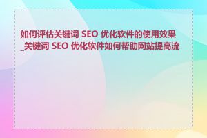 如何评估关键词 SEO 优化软件的使用效果_关键词 SEO 优化软件如何帮助网站提高流量