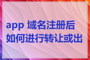 app 域名注册后如何进行转让或出售