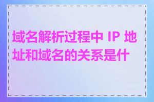 域名解析过程中 IP 地址和域名的关系是什么