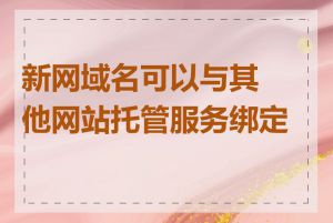 新网域名可以与其他网站托管服务绑定吗