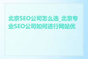 北京SEO公司怎么选_北京专业SEO公司如何进行网站优化