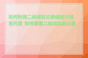 如何利用二级域名记录值进行域名托管_如何查看二级域名的记录值