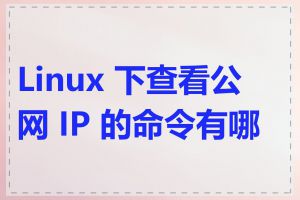 Linux 下查看公网 IP 的命令有哪些