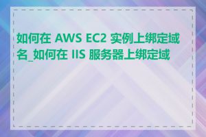 如何在 AWS EC2 实例上绑定域名_如何在 IIS 服务器上绑定域名