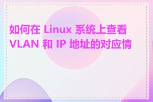 如何在 Linux 系统上查看 VLAN 和 IP 地址的对应情况