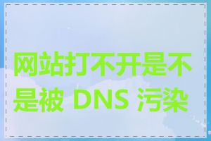 网站打不开是不是被 DNS 污染了
