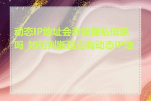 动态IP地址会泄露隐私信息吗_如何判断是否有动态IP地址