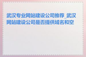 武汉专业网站建设公司推荐_武汉网站建设公司是否提供域名和空间
