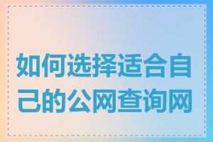 如何选择适合自己的公网查询网站
