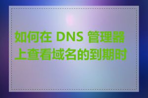 如何在 DNS 管理器上查看域名的到期时间