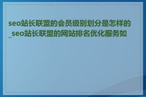 seo站长联盟的会员级别划分是怎样的_seo站长联盟的网站排名优化服务如何