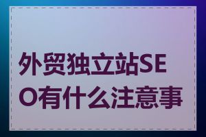 外贸独立站SEO有什么注意事项