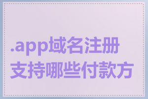 .app域名注册支持哪些付款方式