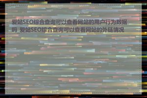 爱站SEO综合查询可以查看网站的用户行为数据吗_爱站SEO综合查询可以查看网站的外链情况吗