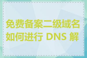 免费备案二级域名如何进行 DNS 解析