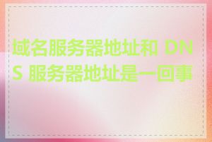 域名服务器地址和 DNS 服务器地址是一回事吗