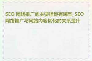 SEO 网络推广的主要指标有哪些_SEO网络推广与网站内容优化的关系是什么