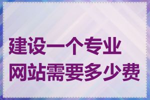 建设一个专业网站需要多少费用