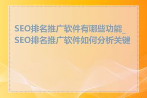 SEO排名推广软件有哪些功能_SEO排名推广软件如何分析关键词