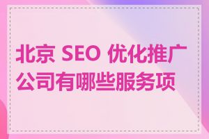 北京 SEO 优化推广公司有哪些服务项目