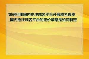 如何利用国内抢注域名平台开展域名投资_国内抢注域名平台的定价策略是如何制定的