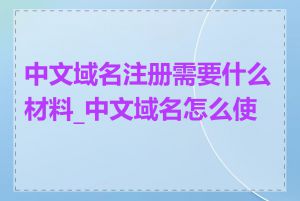 中文域名注册需要什么材料_中文域名怎么使用