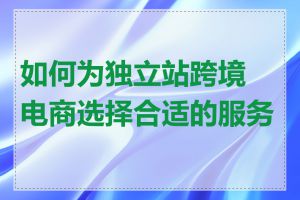 如何为独立站跨境电商选择合适的服务商