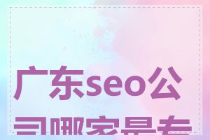 广东seo公司哪家最专业