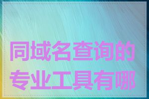 同域名查询的专业工具有哪些