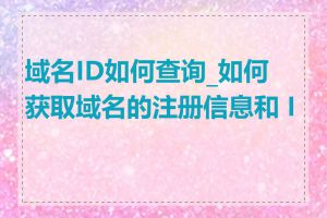 域名ID如何查询_如何获取域名的注册信息和 ID