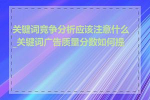 关键词竞争分析应该注意什么_关键词广告质量分数如何提高