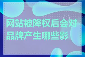 网站被降权后会对品牌产生哪些影响