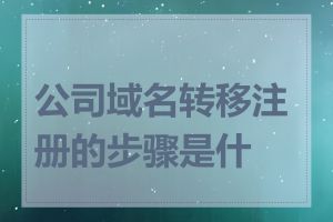 公司域名转移注册的步骤是什么