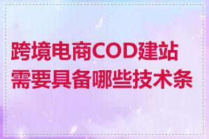 跨境电商COD建站需要具备哪些技术条件