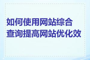 如何使用网站综合查询提高网站优化效果