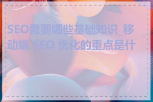 SEO需要哪些基础知识_移动端 SEO 优化的重点是什么