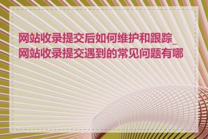 网站收录提交后如何维护和跟踪_网站收录提交遇到的常见问题有哪些