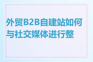 外贸B2B自建站如何与社交媒体进行整合
