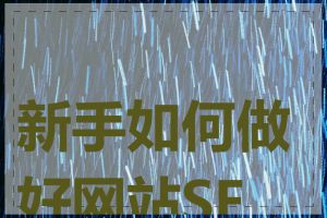 新手如何做好网站SEO