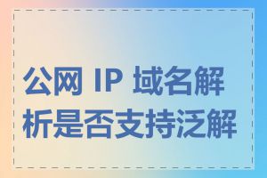公网 IP 域名解析是否支持泛解析