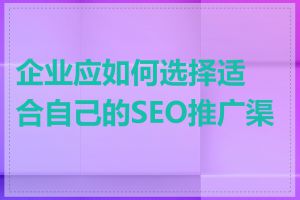 企业应如何选择适合自己的SEO推广渠道