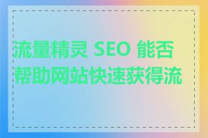 流量精灵 SEO 能否帮助网站快速获得流量