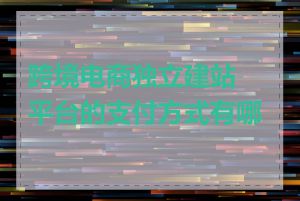 跨境电商独立建站平台的支付方式有哪些