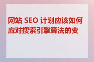 网站 SEO 计划应该如何应对搜索引擎算法的变化