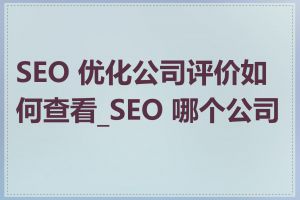 SEO 优化公司评价如何查看_SEO 哪个公司好